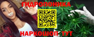 стаф Обнинск