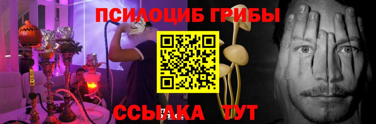 Псилоцибиновые грибы Psilocybine cubensis Татарск